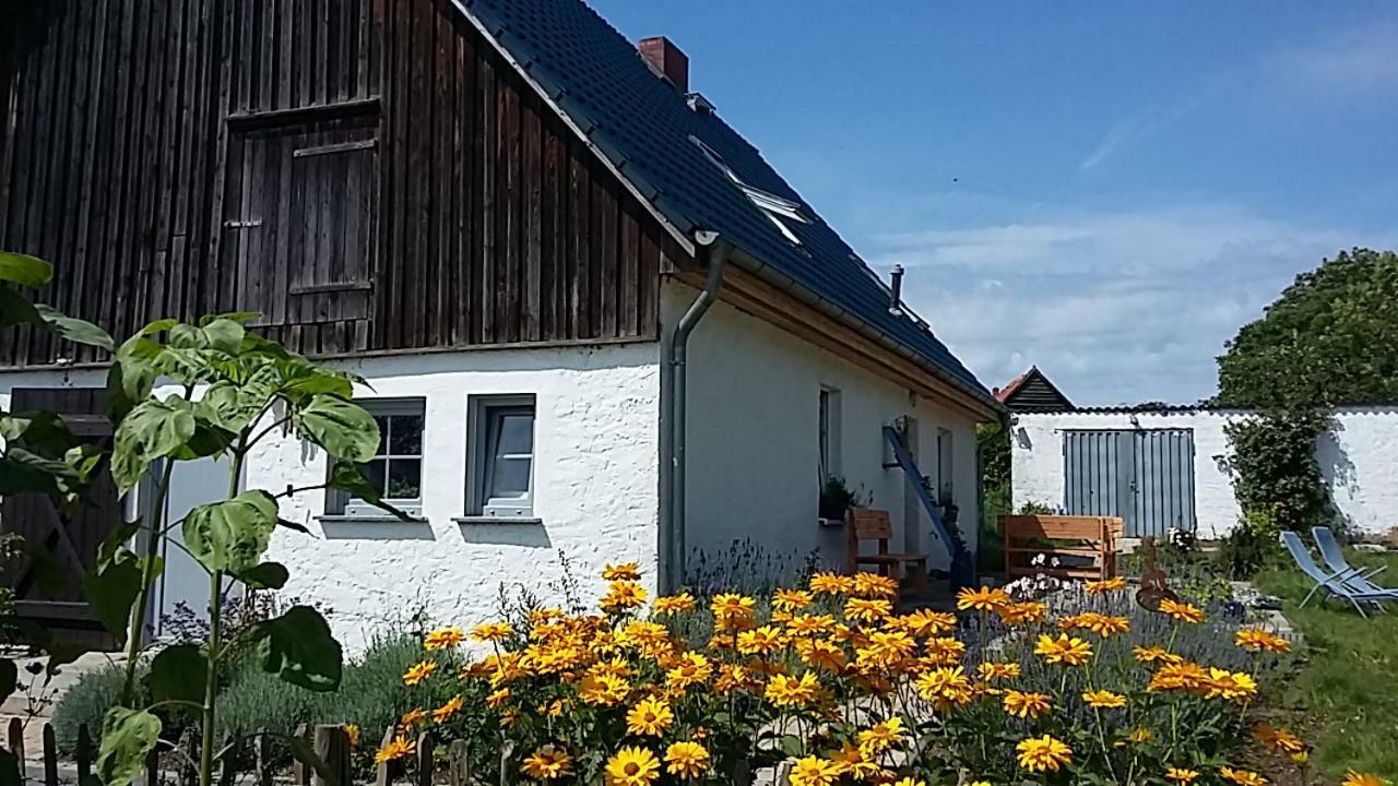 Zum Storchennest Kemnitz (Vorpommern-Greifswald) Exterior foto