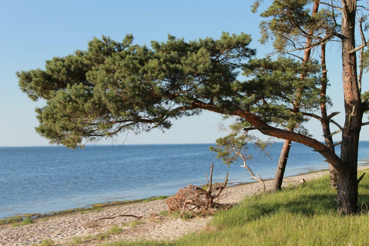 Zum Storchennest Kemnitz (Vorpommern-Greifswald) Exterior foto