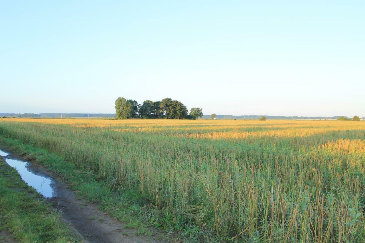 Zum Storchennest Kemnitz (Vorpommern-Greifswald) Exterior foto